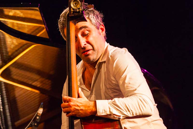 musiciens jle contrebasse